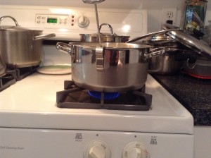 04_Pot with Low Heat On Thermometer In - Start Time 815