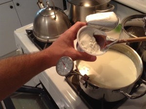 Add yogurt starter to milk and stir it so that the yogurt spreads out and does not clump up into one small area.