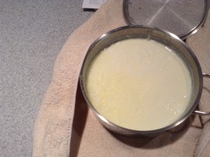 What the yogurt looks like.  Notice the slimy, clear liquid on the top.