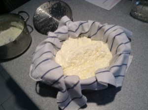 Yogurt has been poured into the towel, which has been placed over the strainer, which has been placed over the pot.